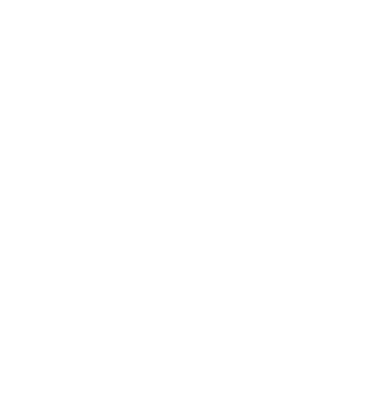 logo-white-ss