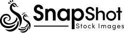 SnapShot Logo